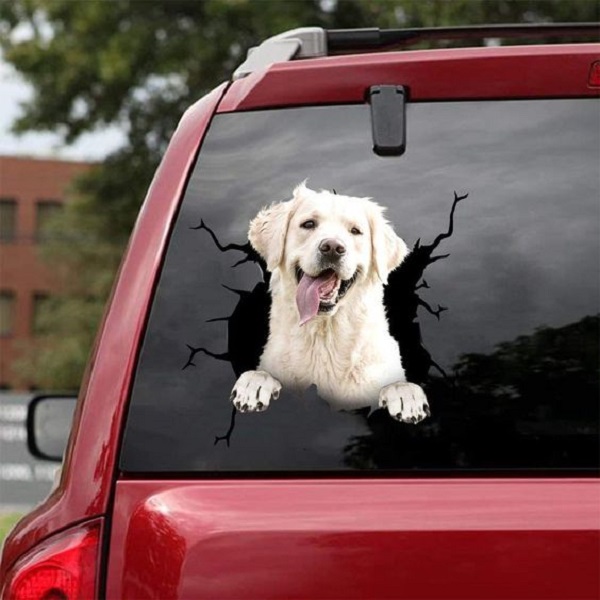 clean car windows