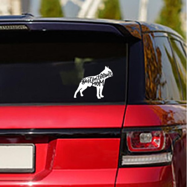 Remove car decals